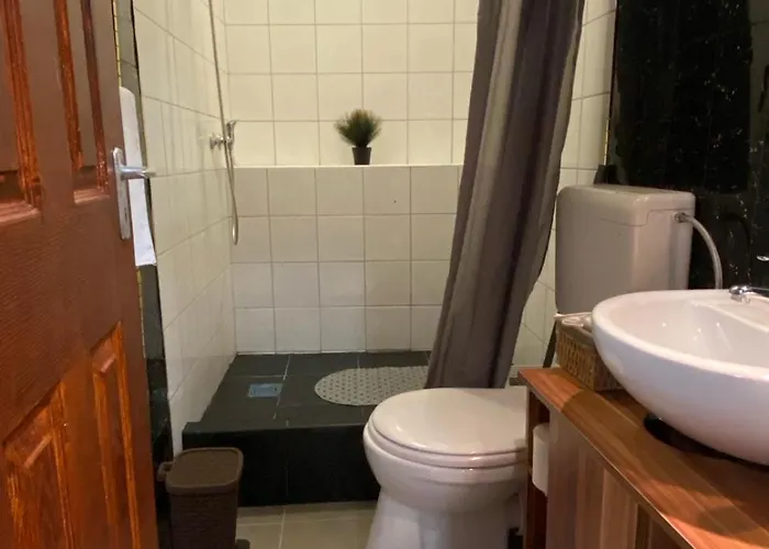 Allaga Center Daire Budapeşte