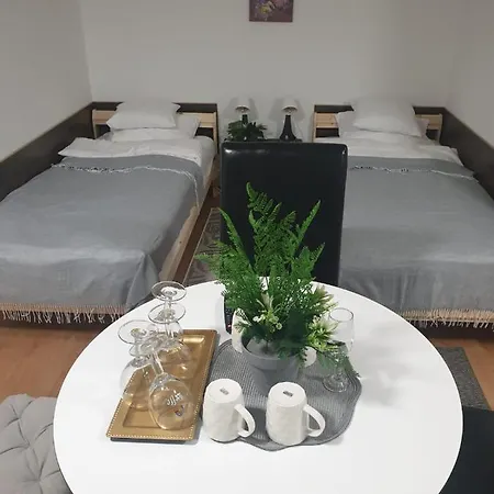 アパート Allaga Center ブダペスト