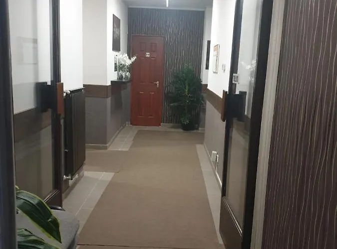 Allaga Center *